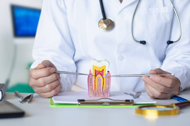 Professional Emergency Dental Service in AL